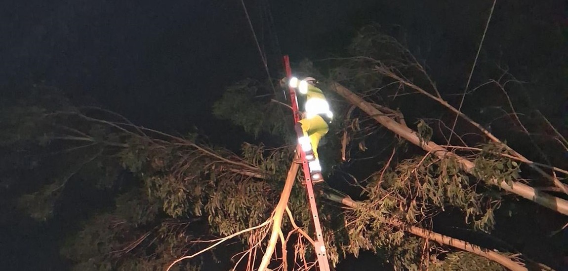 Infraestruturas de Portugal: a força de quem está no terreno em dias de tempestade