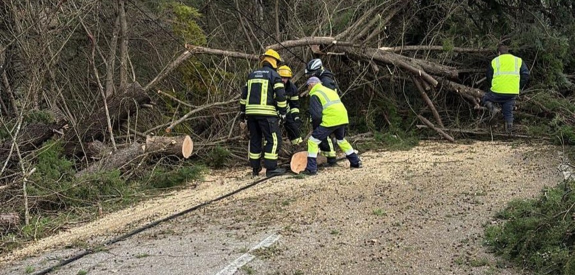 Infraestruturas de Portugal: a força de quem está no terreno em dias de tempestade